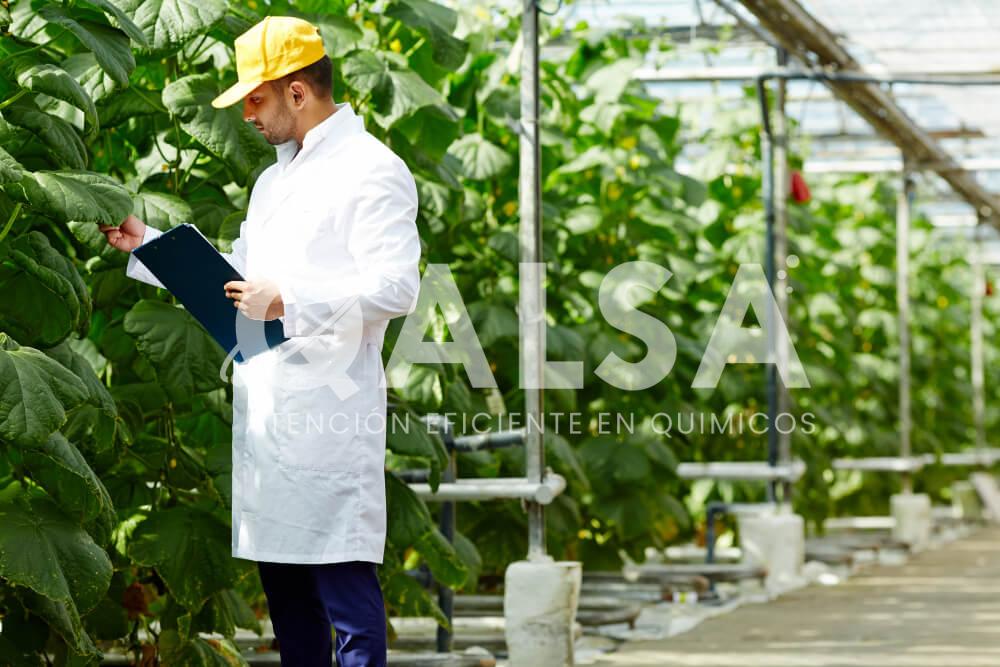 Uso de agroquímicos en la agricultura